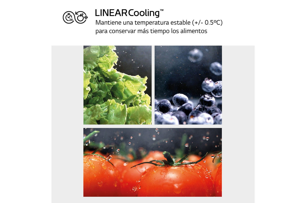 LG GBV5240APY – detalle de conservación de alimentos