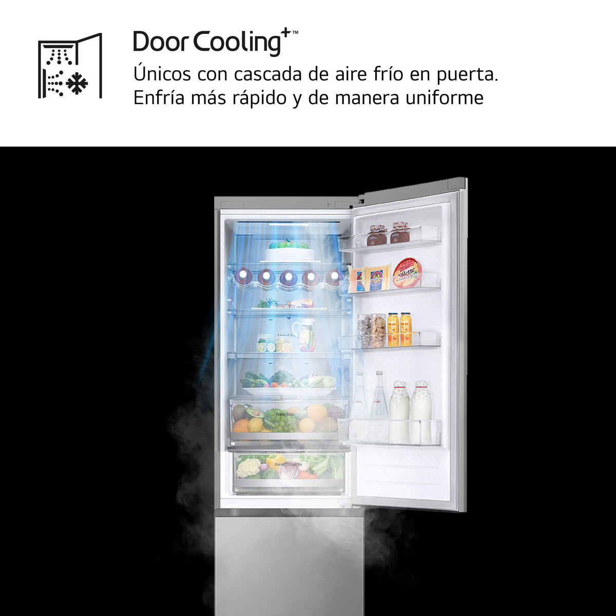 LG GBV7270CPY – distribución interior