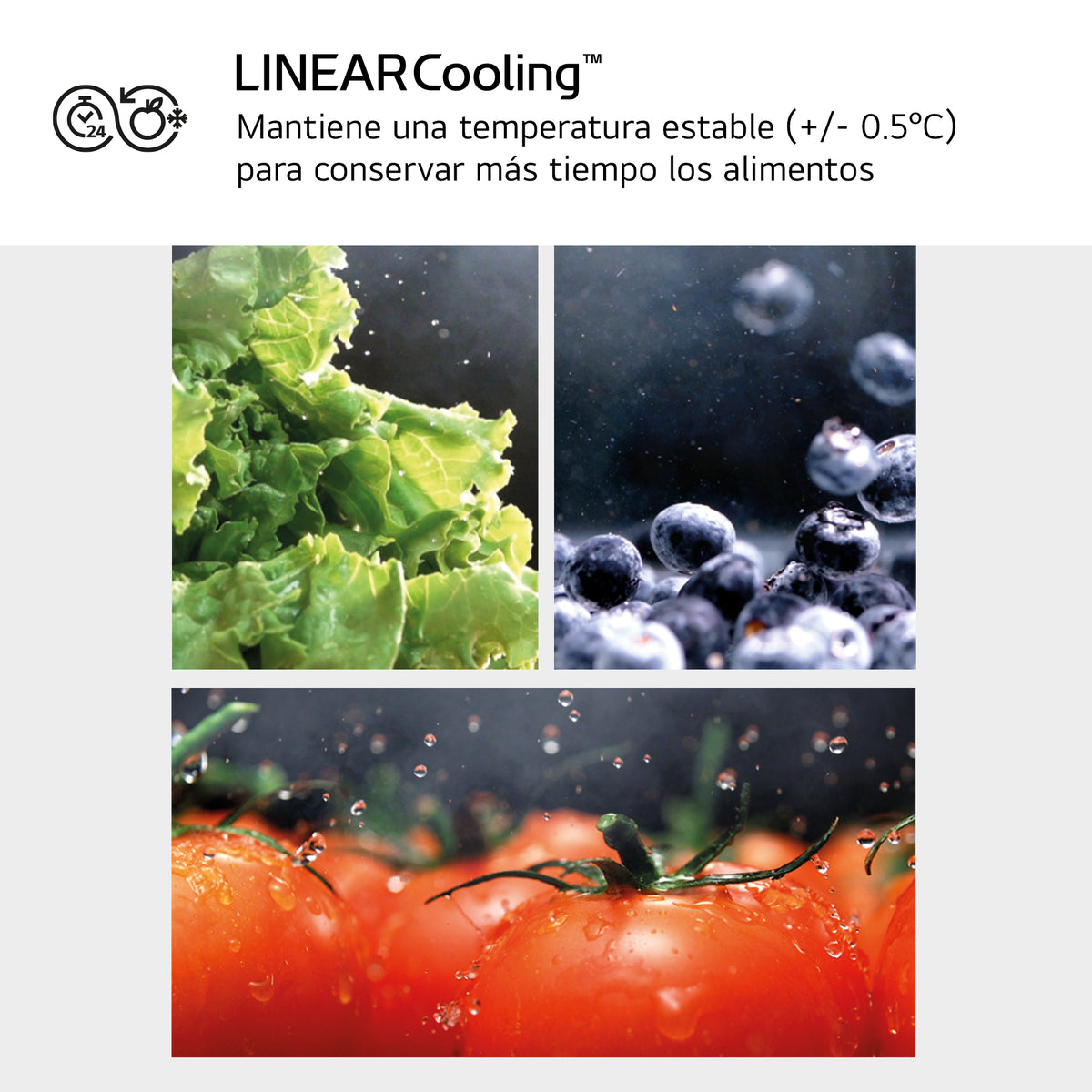 LG GBV7270CPY – cajones FreshConverter y FRESHBalancer