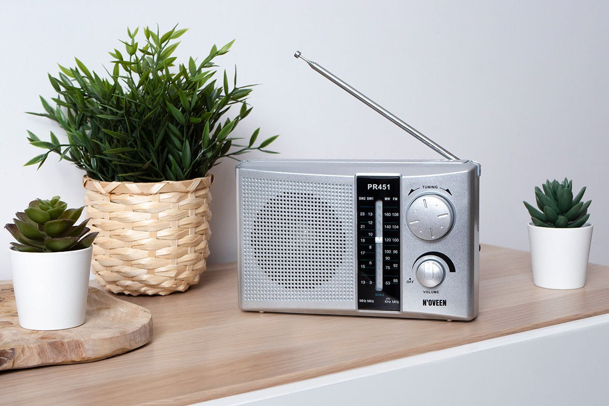 RADIO PORTATIL ELBE NOVEEN PR451 PLATA