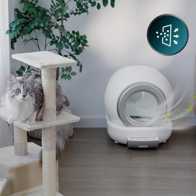 ARENERO CECOTEC PUMBA 7000 COMPACT WIFI 103272