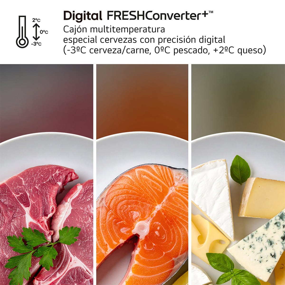Frigorífico combi LG GBBW726CMB, imagen complementaria 9
