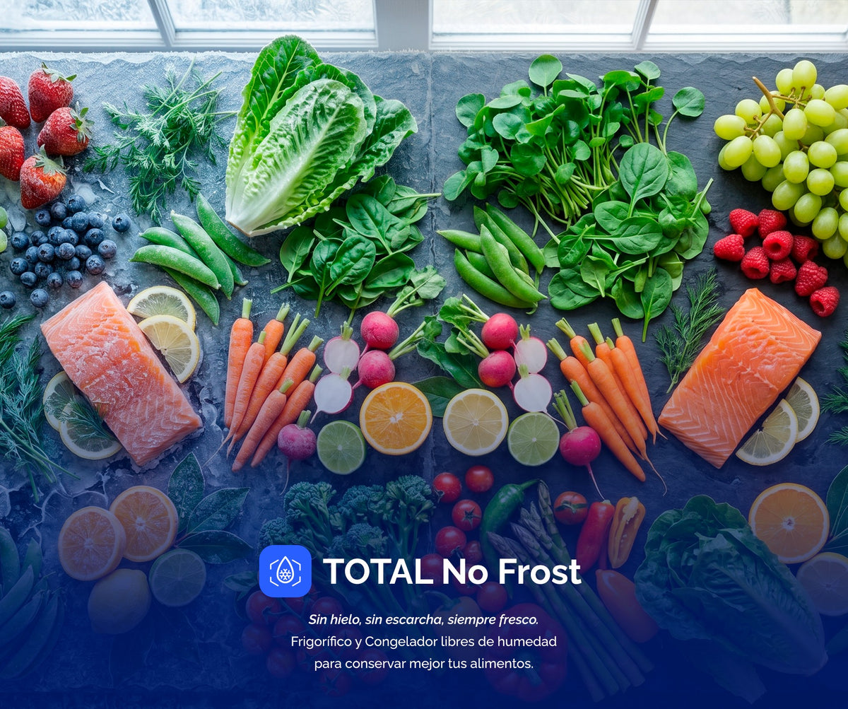 Infografía de la tecnología Total No Frost del combi Artica COOLTECH200CNG