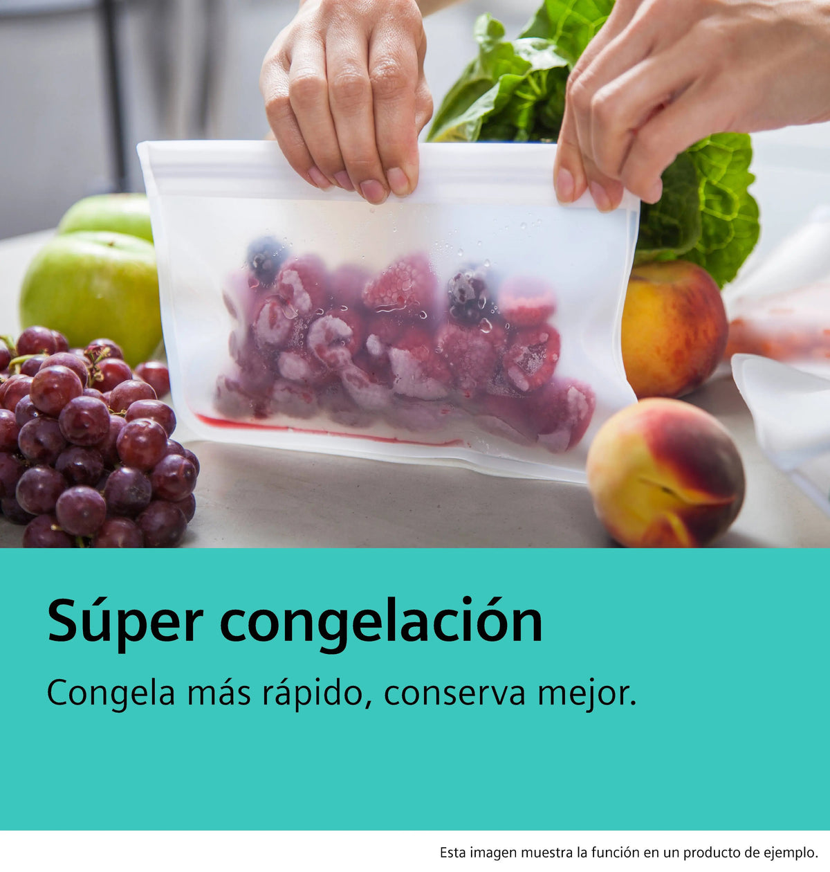 Frigorífico combi Siemens KG49NVWDG – distribución de estantes y compartimentos