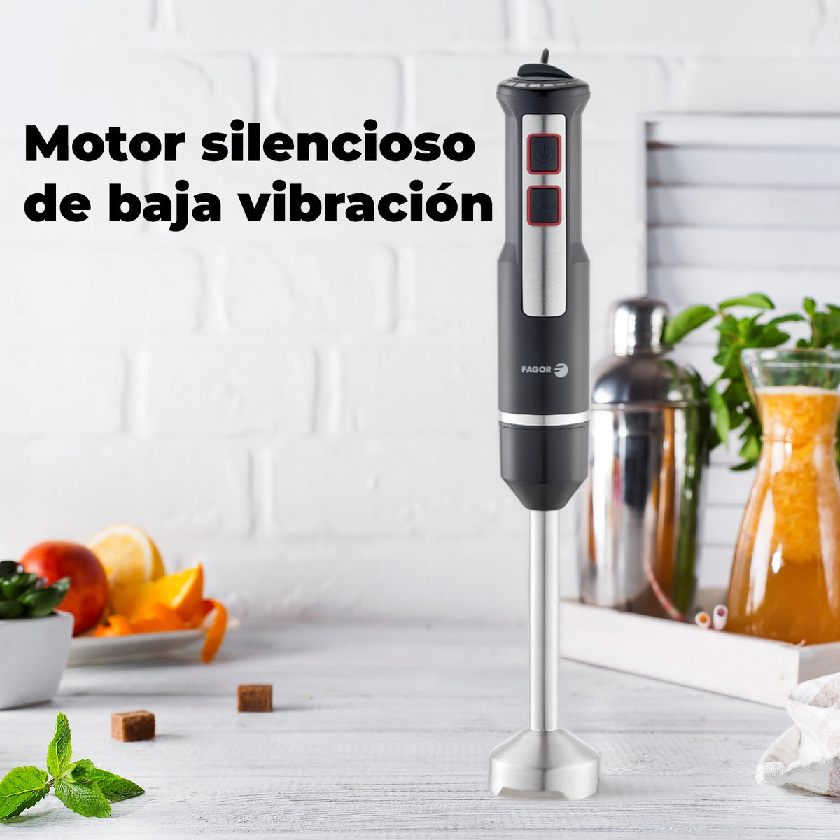 BATID. FAGOR DIVAMIX INNOX 1000W C/A