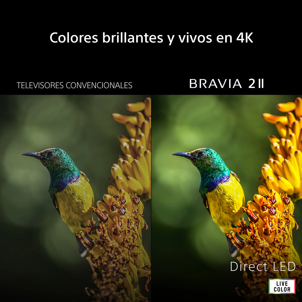 TV SONY 55" K55S25M2PB UHD X1 GOOGLETV HDR10
