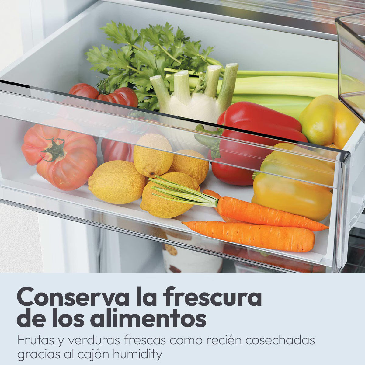 Frigorífico combi Candy CNCQ2T6S18DW, imagen complementaria 10