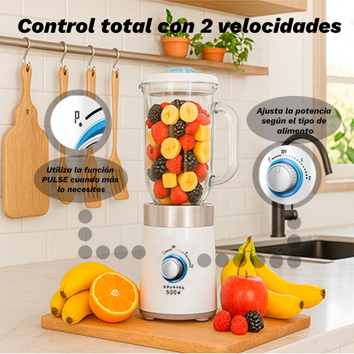 Batidora de vaso Grunkel BT-PRACTICA500