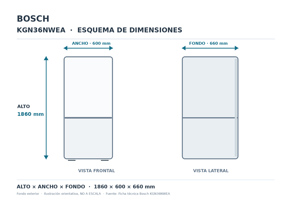 Esquema de dimensiones Bosch KGN36NWEA: 1860 mm alto, 600 mm ancho y 660 mm fondo. Dibujo orientativo no a escala.