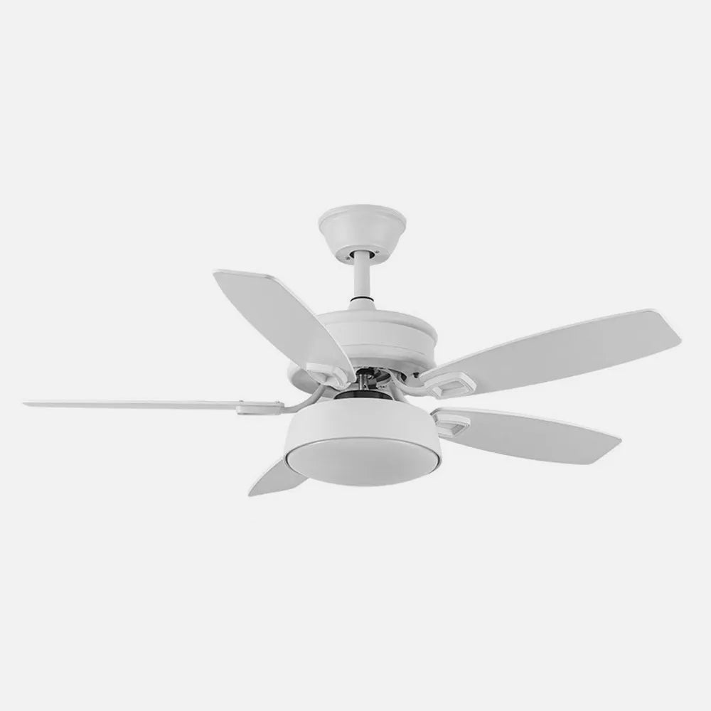 Ventilador de techo DC Braw 106 cm con luz LED de FABRILAMP en color blanco/blanco-blanco/haya
