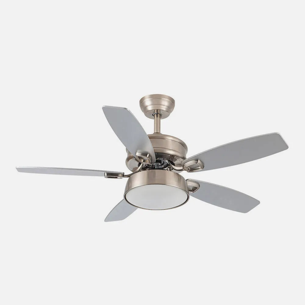 Ventilador de techo DC Braw 106 cm con luz LED de FABRILAMP en color níquel/haya – níquel/plata