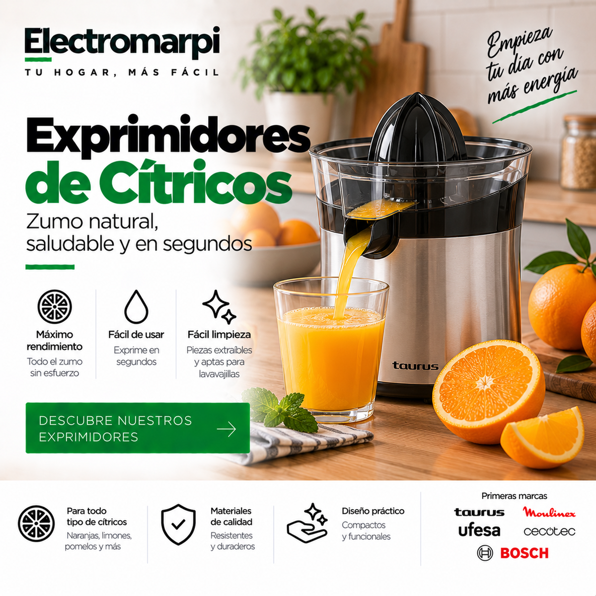 Exprimidores de cítricos eléctricos con vertido directo y fácil limpieza - Electromarpi