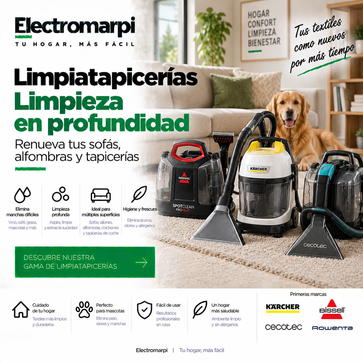 Limpiatapicerías para sofás, colchones, alfombras y tapicerías de coche - Electromarpi