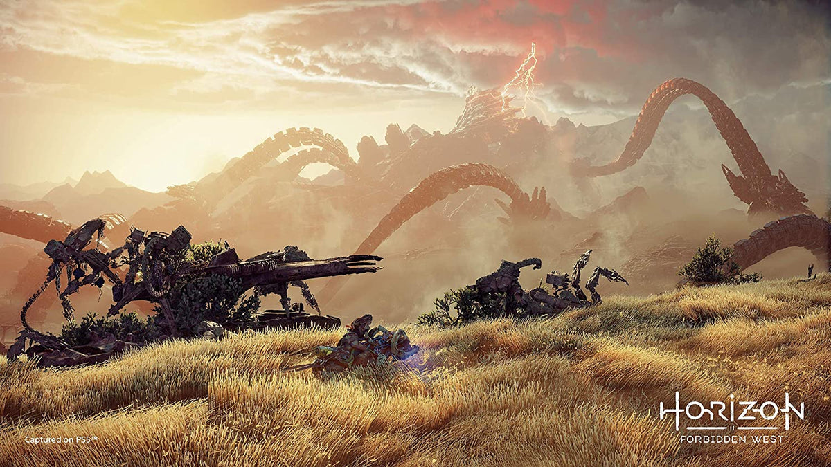 JGO. PS5 HORIZON FORBIDDEN WEST