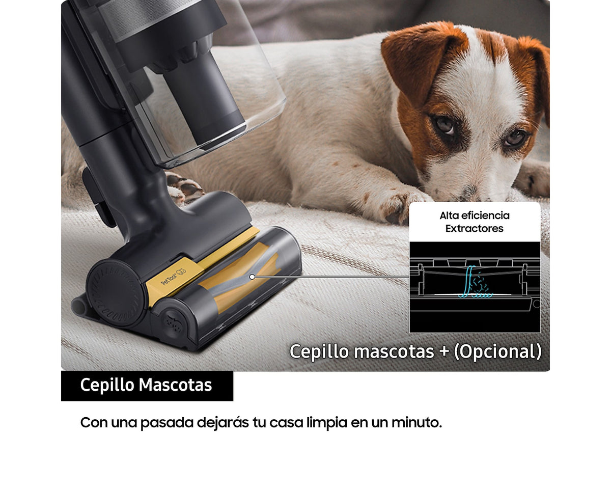 Samsung Jet 95 Pet VS20C9542TN/WA – galería oficial