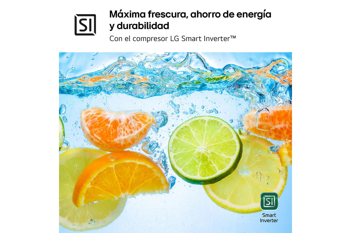 LG GBV5240APY – frigorífico combi 203 cm