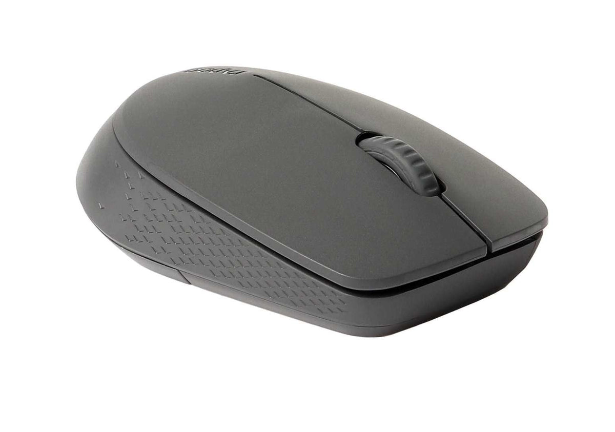 RATON RAPOO M100 SILENT GRIS OSCURO 00184534