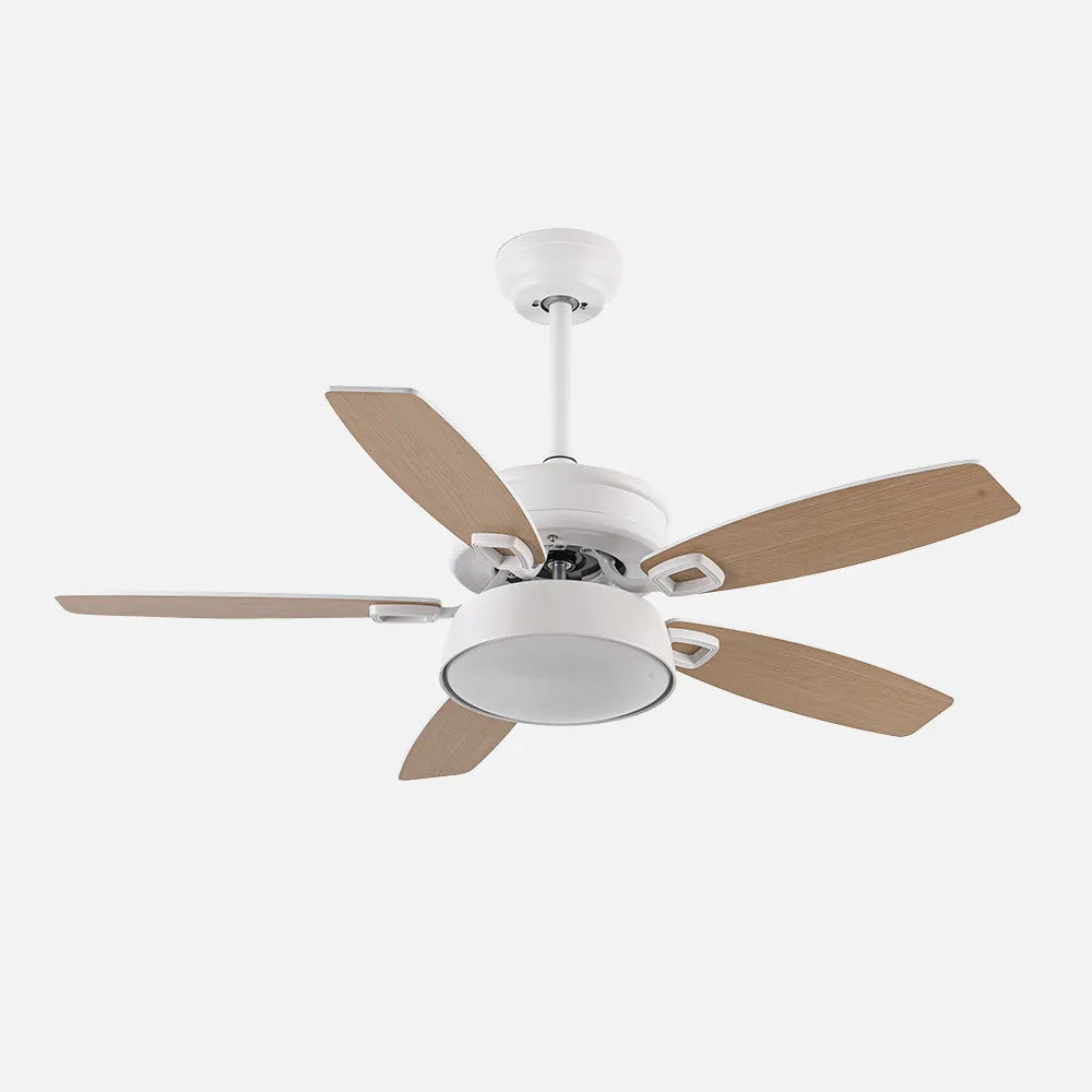 Ventilador de techo DC Braw 106 cm con luz LED de FABRILAMP en color blanco/blanco-blanco/haya – vista de detalle