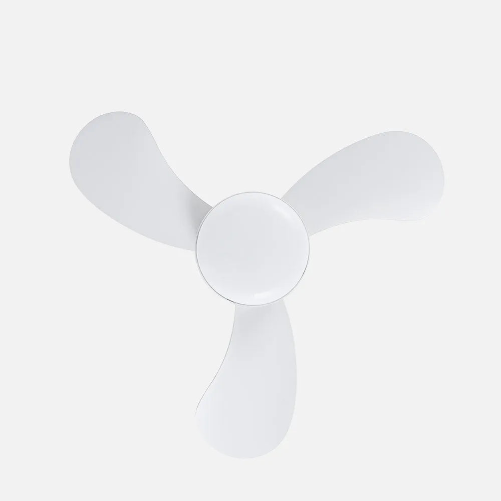 Ventilador de techo DC Enoc 58 cm con luz LED de FABRILAMP en color blanco – vista de detalle